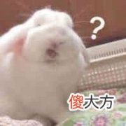 买手机是去线下实体店好 买手机是线上买还是线下实体店买好