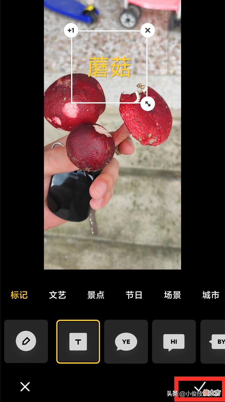 老年人使用智能手机必须学会的8个功能 老年人怎样学会智能手机的各种功能