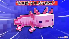 发光鱿鱼有什么巨大作用 我的世界发光鱿鱼有什么用