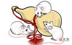 属鼠最适合佩戴什么生肖饰品