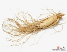 人参粉的功效与作用 人参粉的功效与作用及食用方法