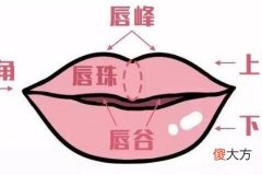 有唇珠的面相有福气吗