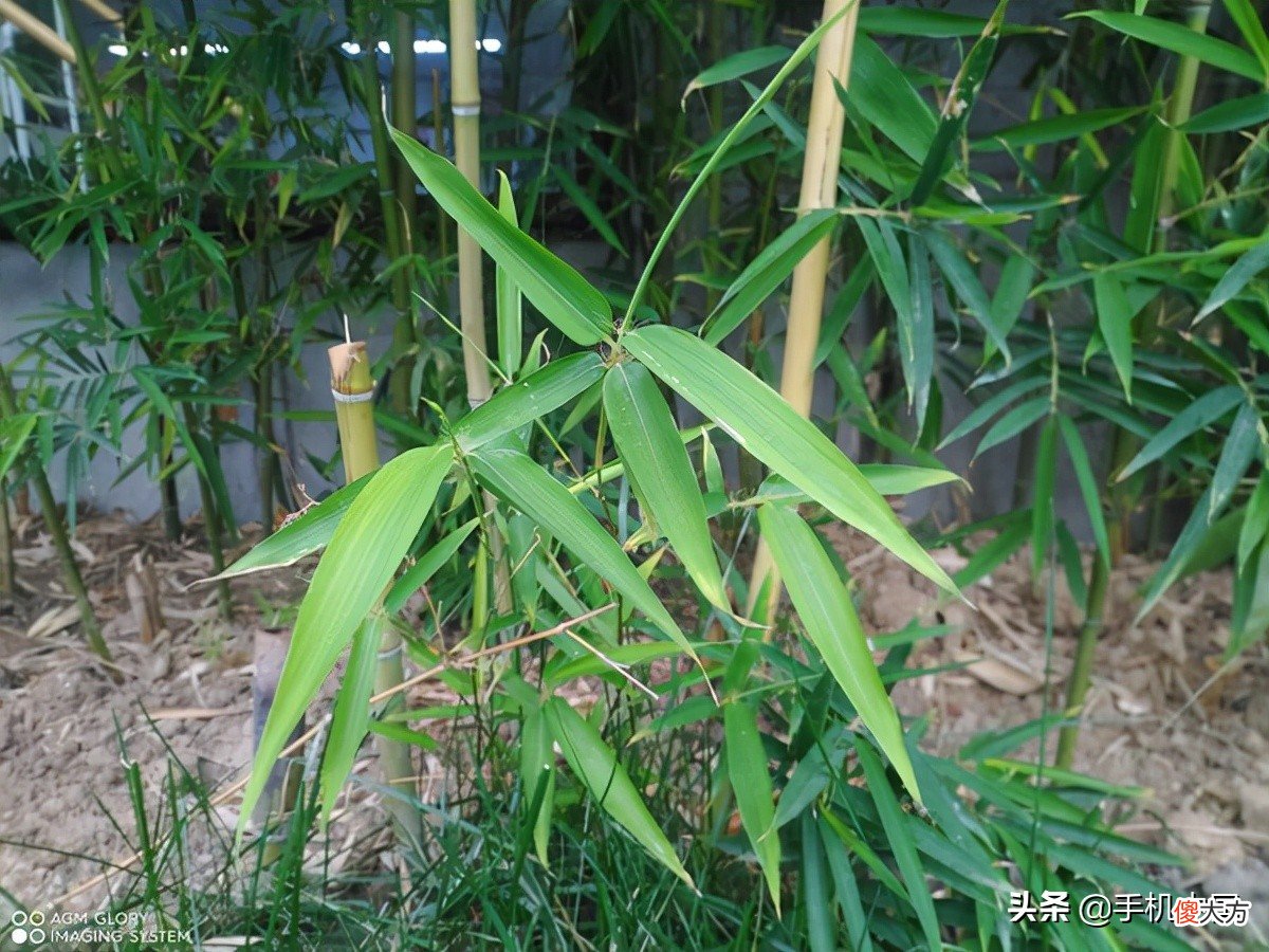 国内首款超低温电池 超低温蓄电池