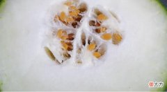中秋减脂吃冬瓜 吃冬瓜减肥