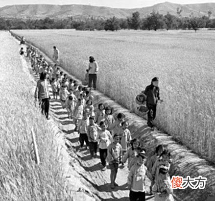 【爱历史】八十年代老照片，80后、80后父母的满满回忆，每一张都有故事