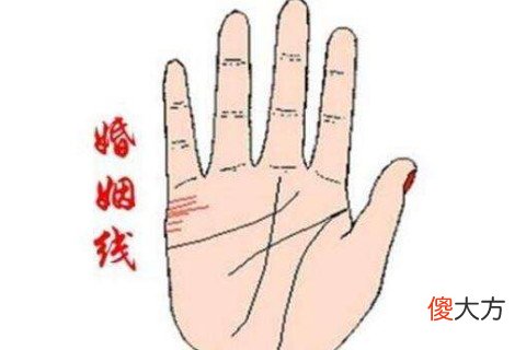 看手相婚姻线图解男