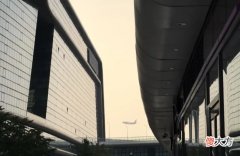 为什么你的iPhone拍照不好看 iPhone拍照不好看