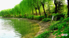 河边和海边的沙子 河边的沙滩