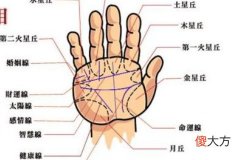川字型掌纹女的命运怎么样