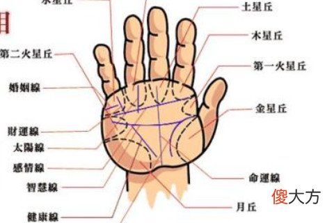 川字型掌纹女的命运怎么样