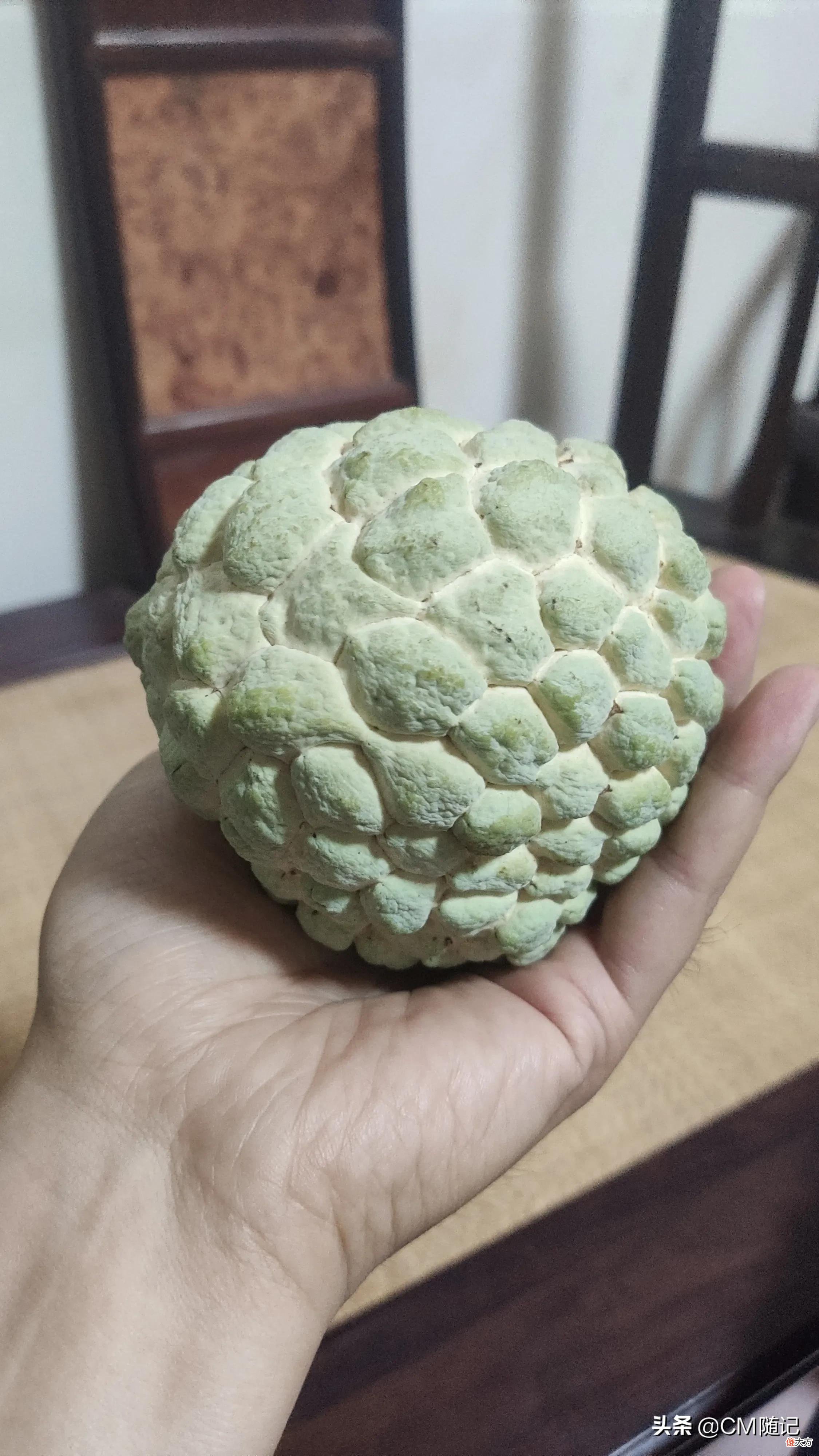 一种叫做林檎的水果 有一种水果叫林檎