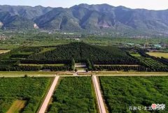 【历史故事】长明灯是否真的千年不灭？美国学者研究多年，破解其中关窍