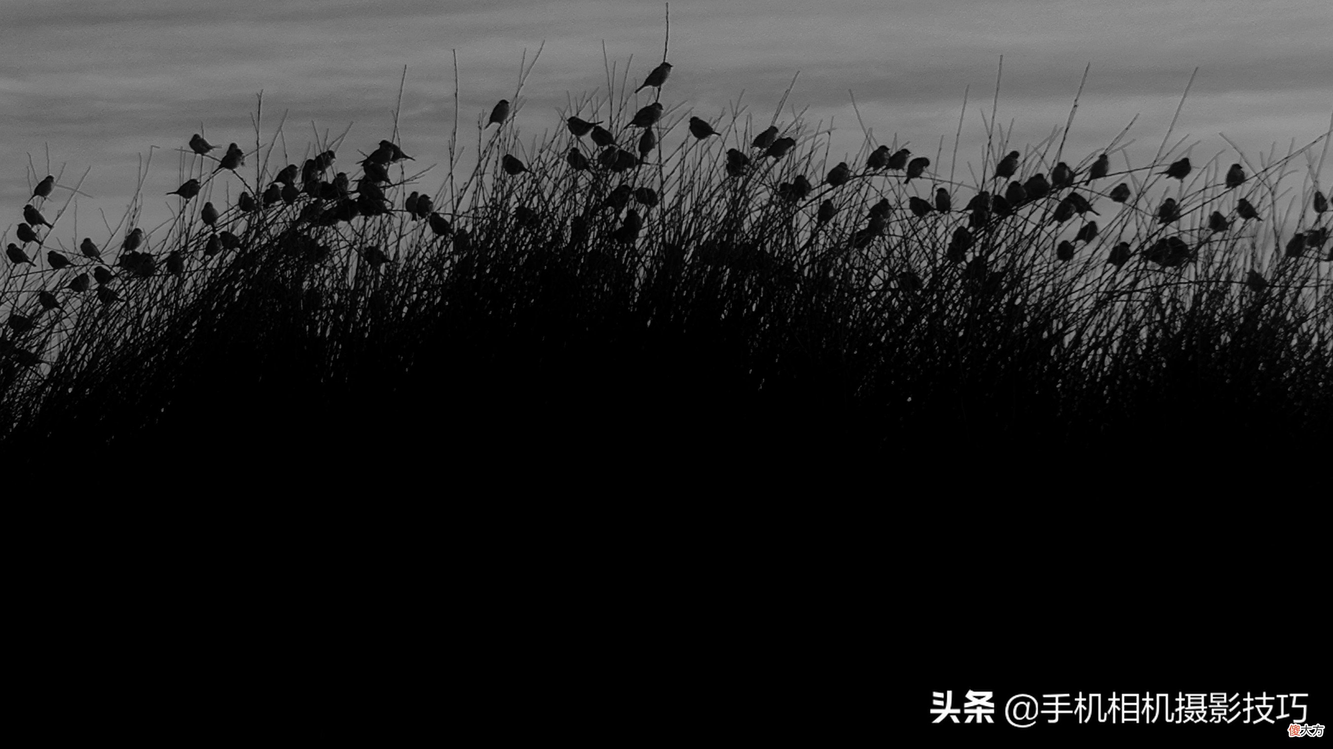 15张普通人拍出来的好照片 十五张普通人拍的照片