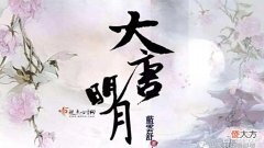 【爱历史】古言文里面难得一见的历史文:大唐明月by蓝云舒