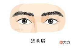 男人最有福气的眉毛有何特点