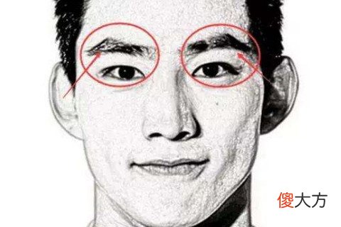 看男人眉毛知道性格爱情