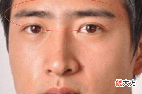 男人眉毛短是什么面相