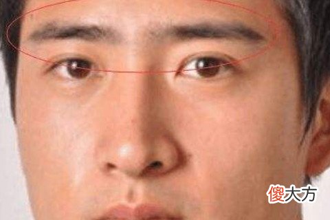 眉毛相连的男人命好吗