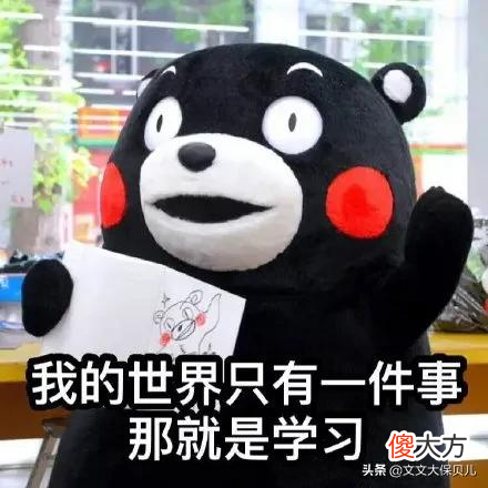 有必要进行异地转移吗 为什么要异地转移