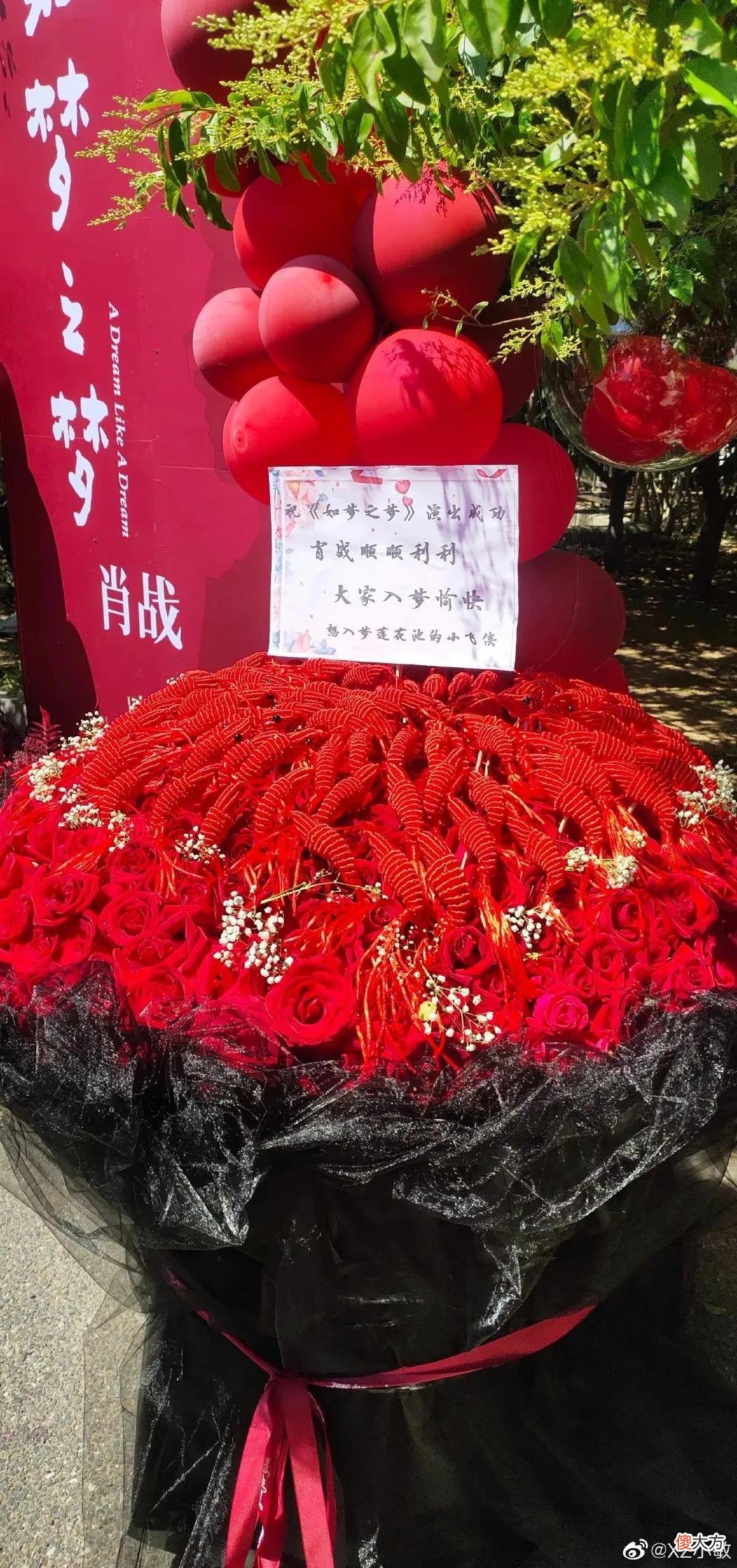 肖战的小飞侠创意十足 小飞侠为肖战写的