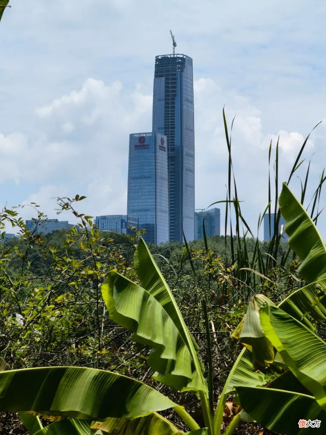 上手华为P50半天，让我觉得惊喜的4个性能