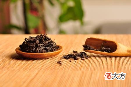 人们说的肉桂是茶吗 肉桂不是茶?