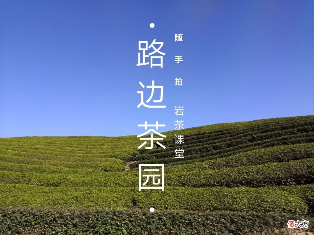 肉桂的辛辣感 肉桂有辣味吗
