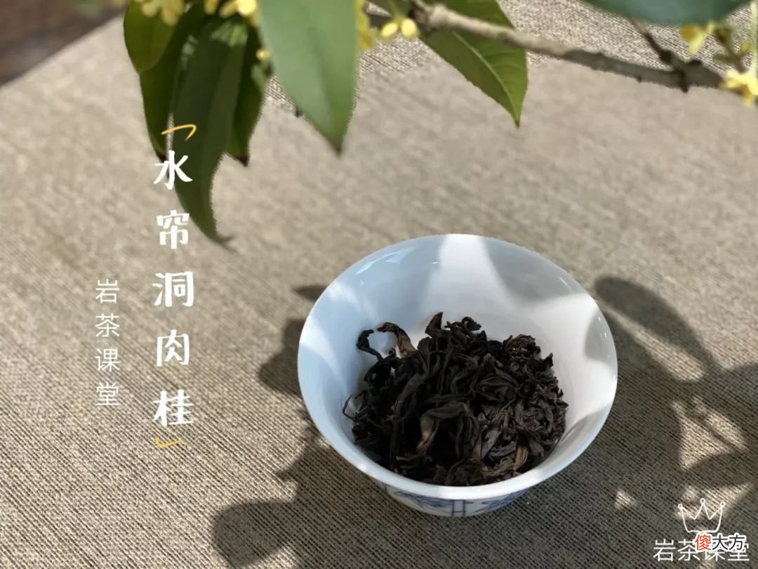 肉桂的辛辣感 肉桂有辣味吗