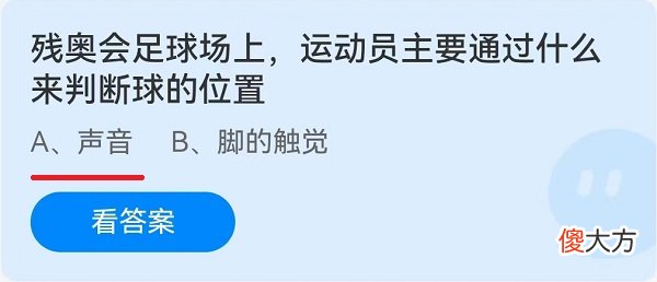 残奥会足球场上运动员主要通过什么来判断球的位置| 残奥会足球场上运动员主要通过什么来判断球的位置