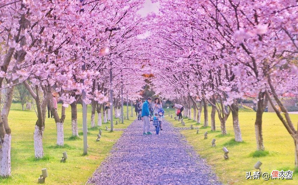 3个拍照方法提升照片质量 怎么提升拍照的质量