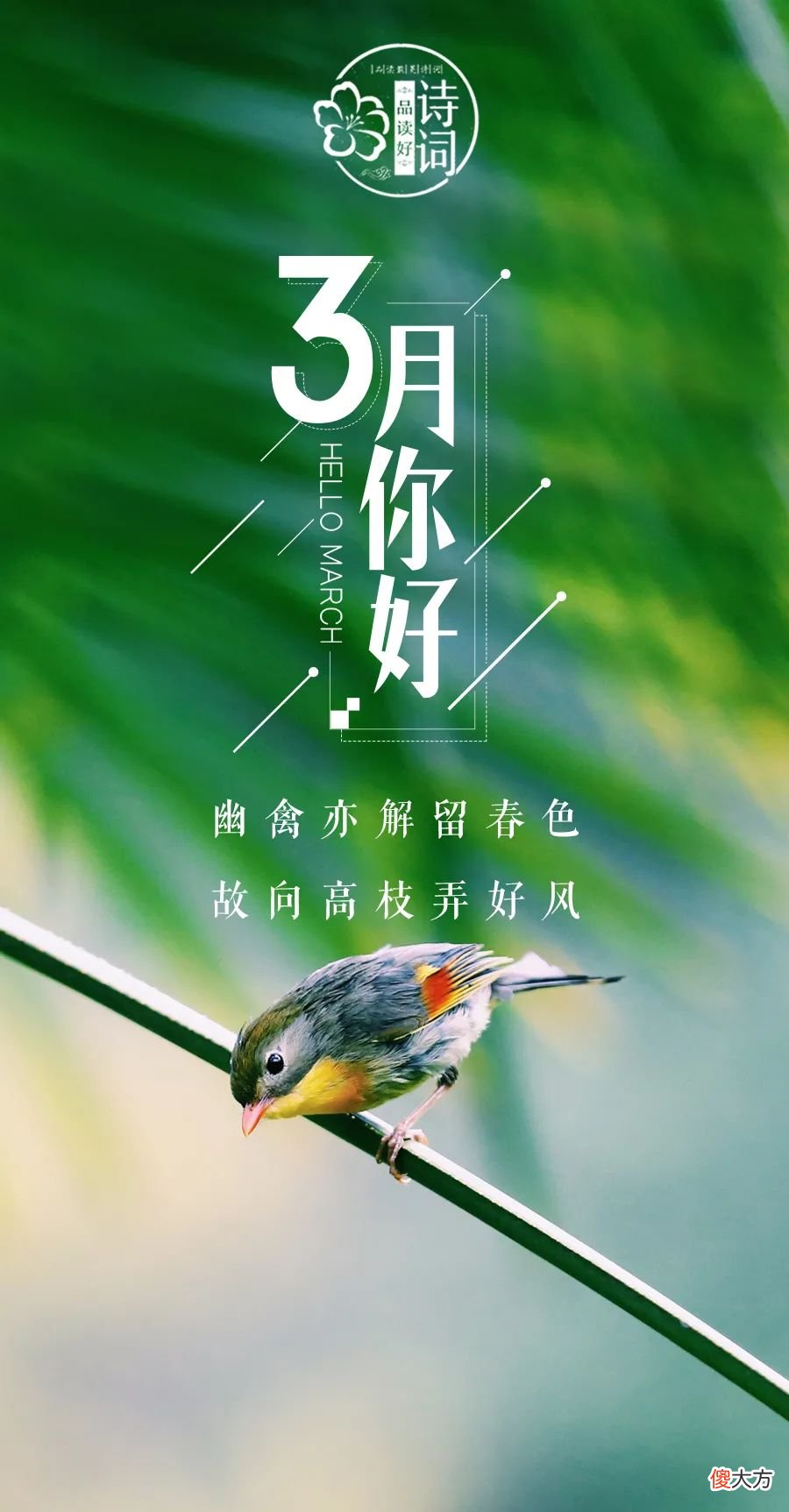 那些关于春天的诗句 哪些关于春天的诗句