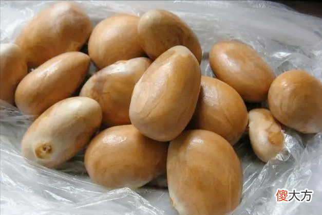 菠萝蜜籽能种出树苗吗 菠萝蜜籽种的树苗能结果吗