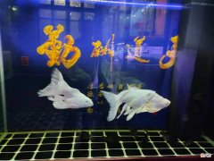 治疗两三天了 这两天治疗
