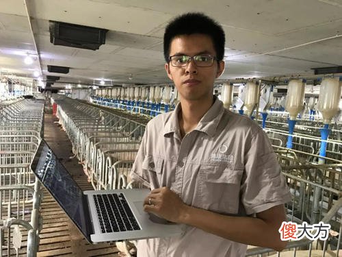 猪价总算涨了 猪价要涨了