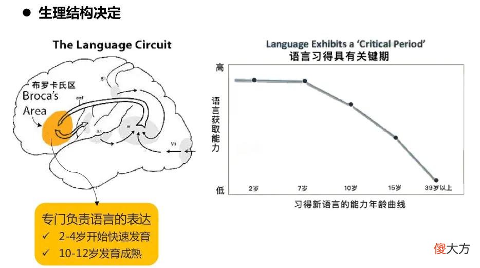 还在为要不要给宝宝提前学英语而焦虑吗 宝宝有必要提前学英语吗