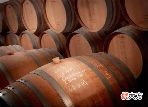 阿根廷为葡萄酒立法