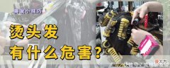 【就爱时尚】烫发时髦又洋气，如果不了解这3个危害的话，发质会越来越糟糕