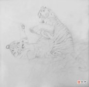【时尚一点】工笔虎《嬉戏》设色步骤