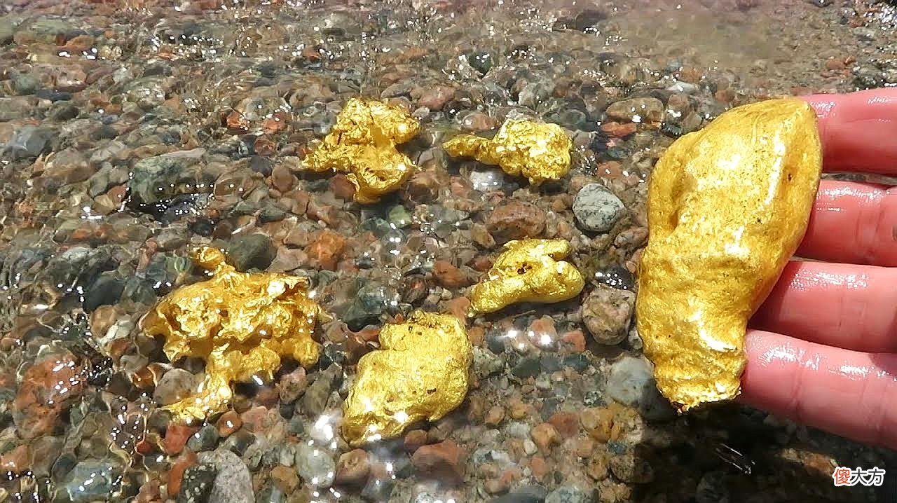 狗头金明明不是纯金 狗头金 纯度