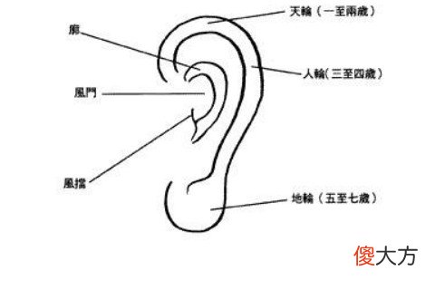 耳朵面相分析图解大全