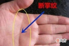 男人断掌的命运如何