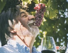 做红酒生意怎么样 进口红酒批发的市场有哪些