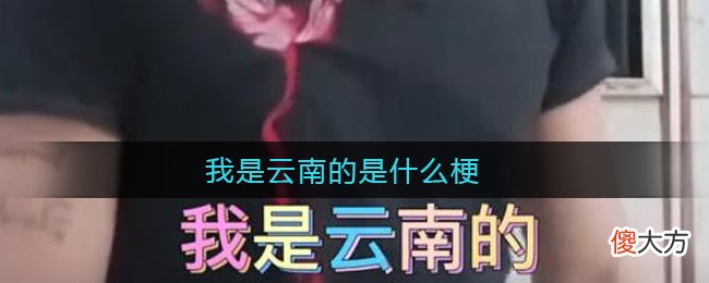 抖音| 我是云南的是什么梗