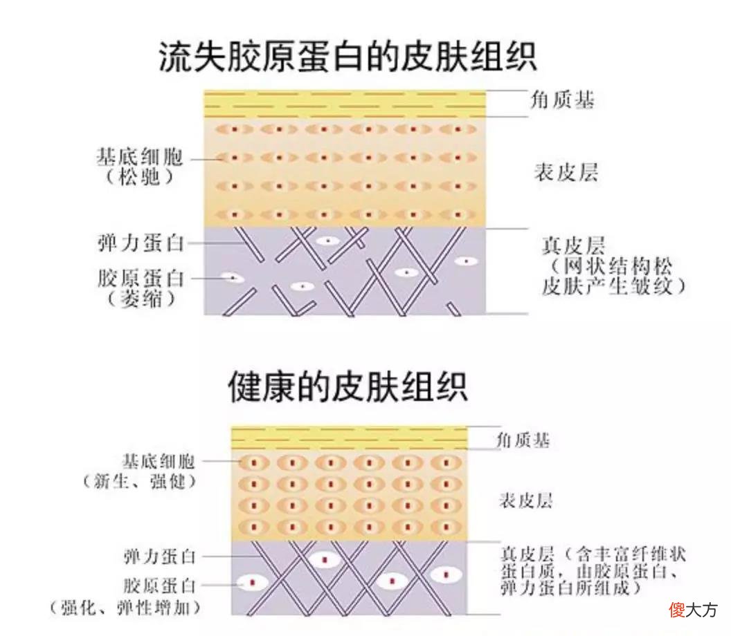 胜肽与玻色因 胜肽与玻色因哪个好