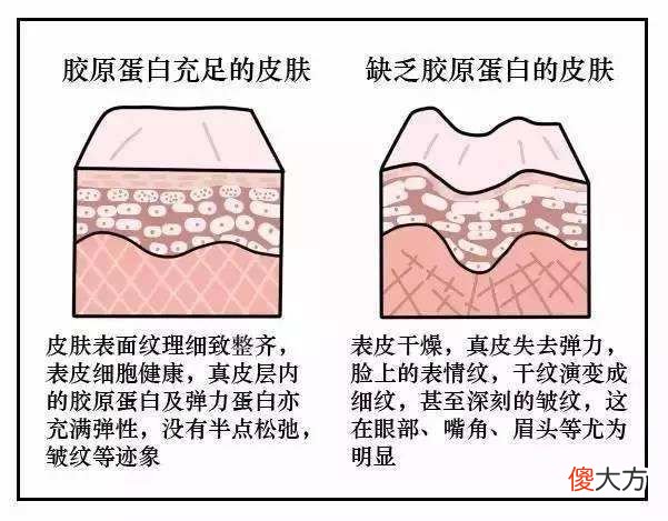 胜肽与玻色因 胜肽与玻色因哪个好