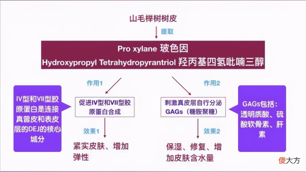 胜肽与玻色因 胜肽与玻色因哪个好