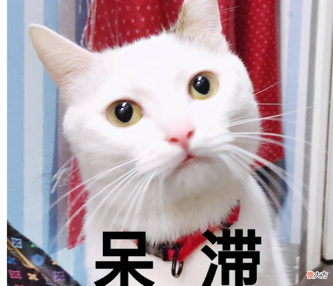 VC和玻色因 维c和玻色因