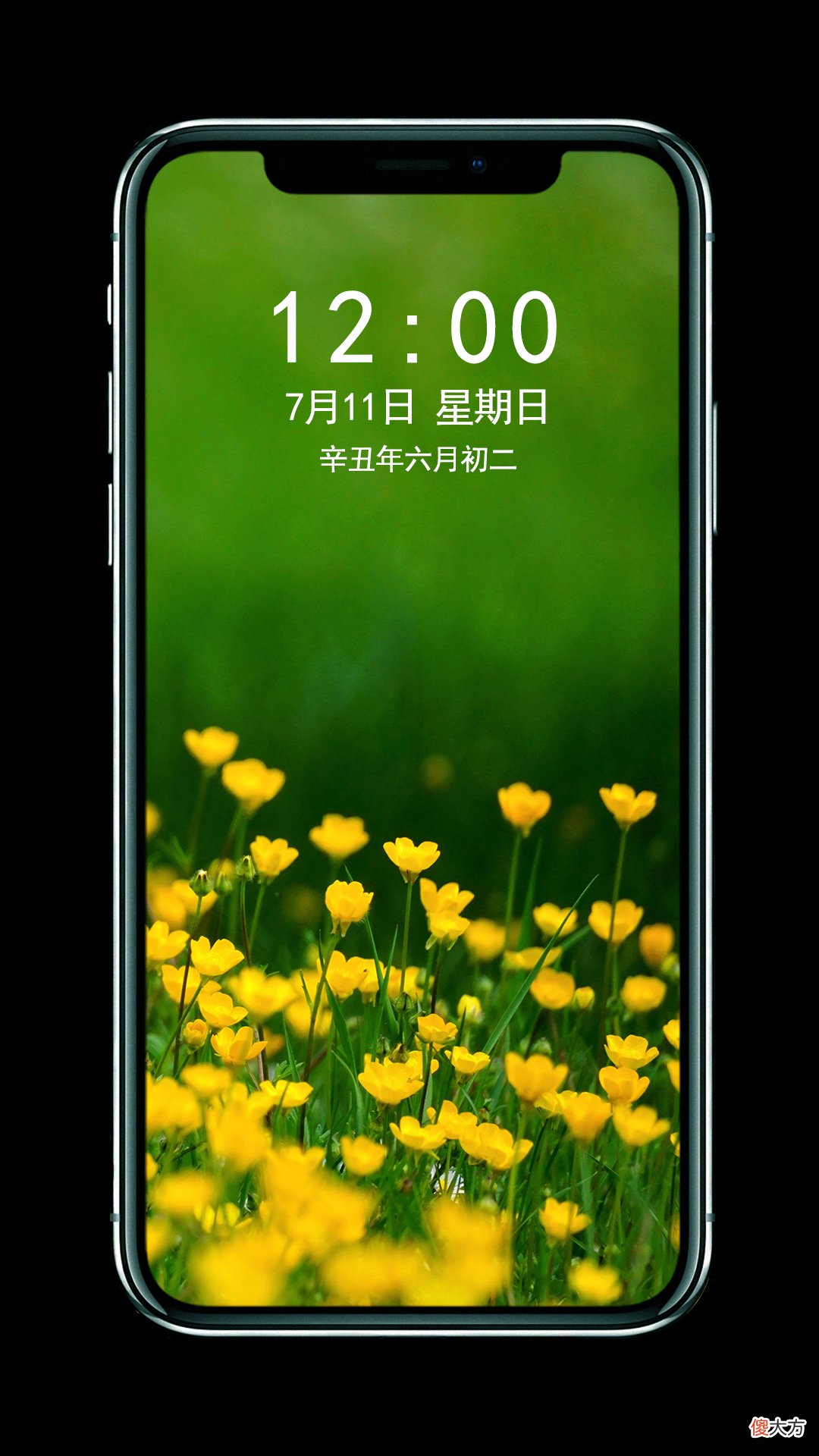 绿色养眼小清新系列壁纸 绿色壁纸 小清新 养眼