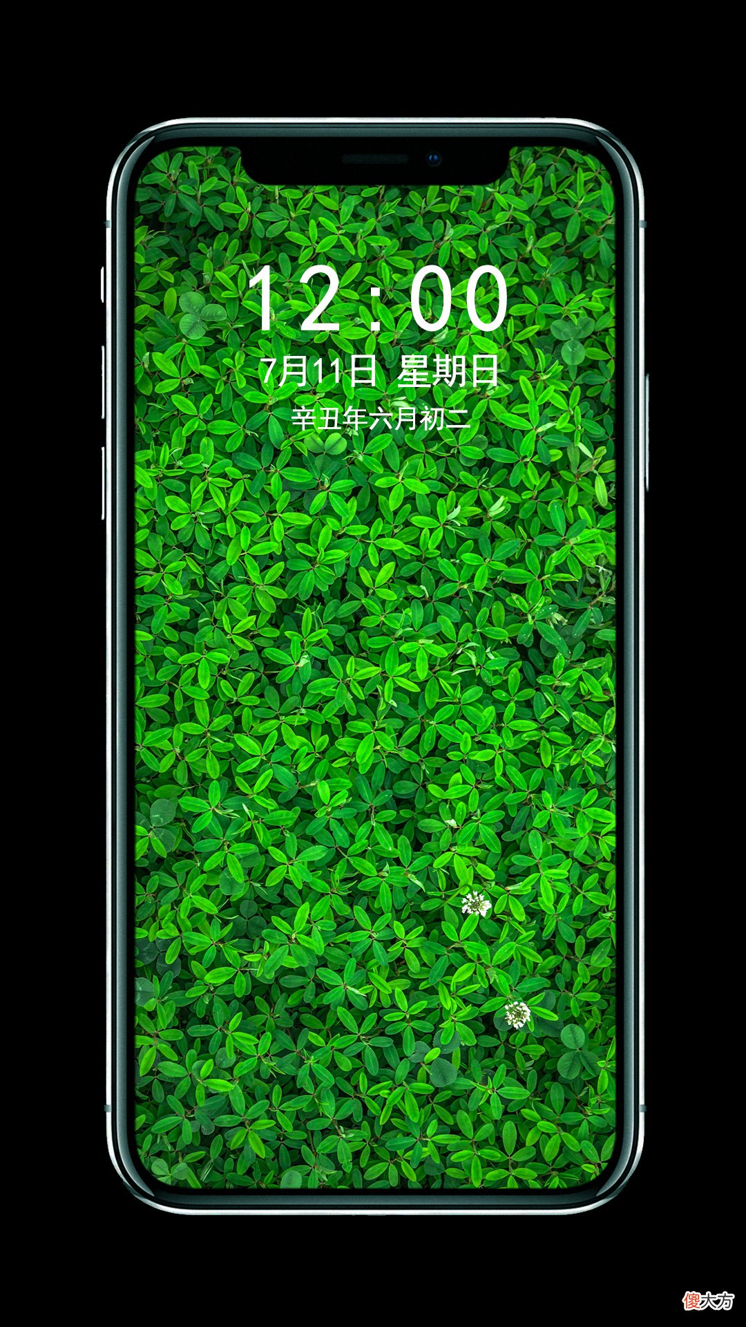 绿色养眼小清新系列壁纸 绿色壁纸 小清新 养眼