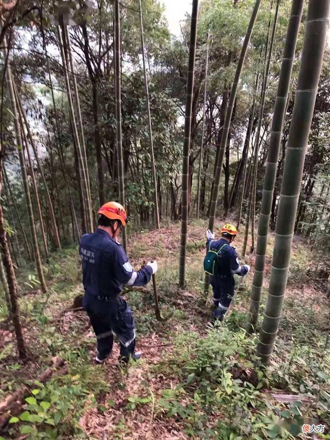 蛇冬眠可能会被吃掉 蛇冬眠吃东西么